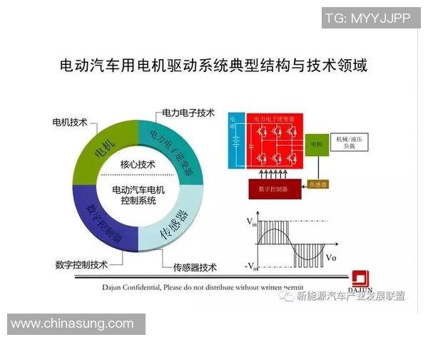 竞技体育的定义与发展趋势分析探讨及其在现代社会中的重要性
