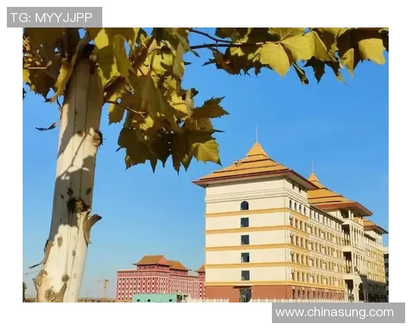 南京羽毛球队的崛起之路：从默默无闻到全国强队的奋斗历程